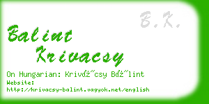 balint krivacsy business card